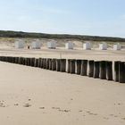 On the beach 