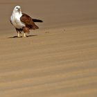 On the Beach