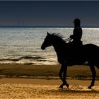 on the beach