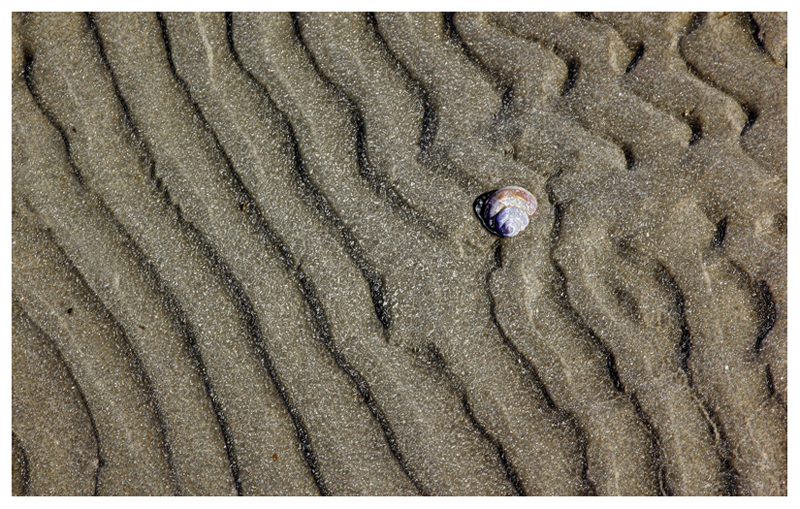 on the beach