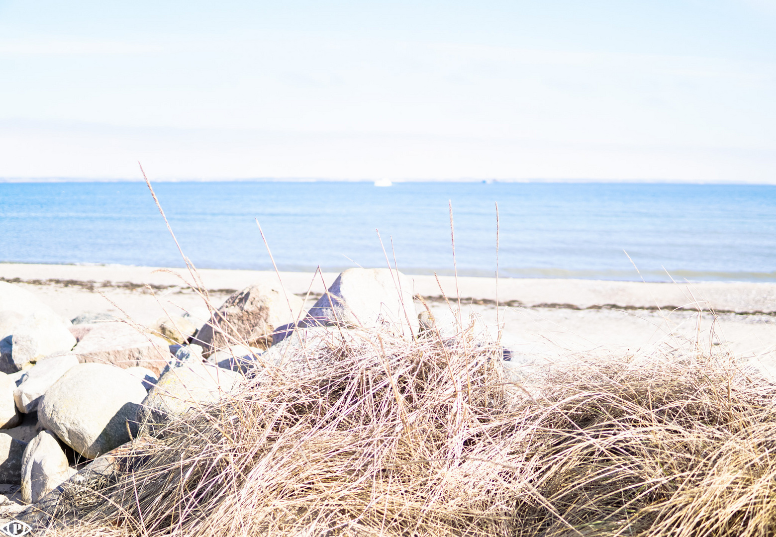 On the Beach