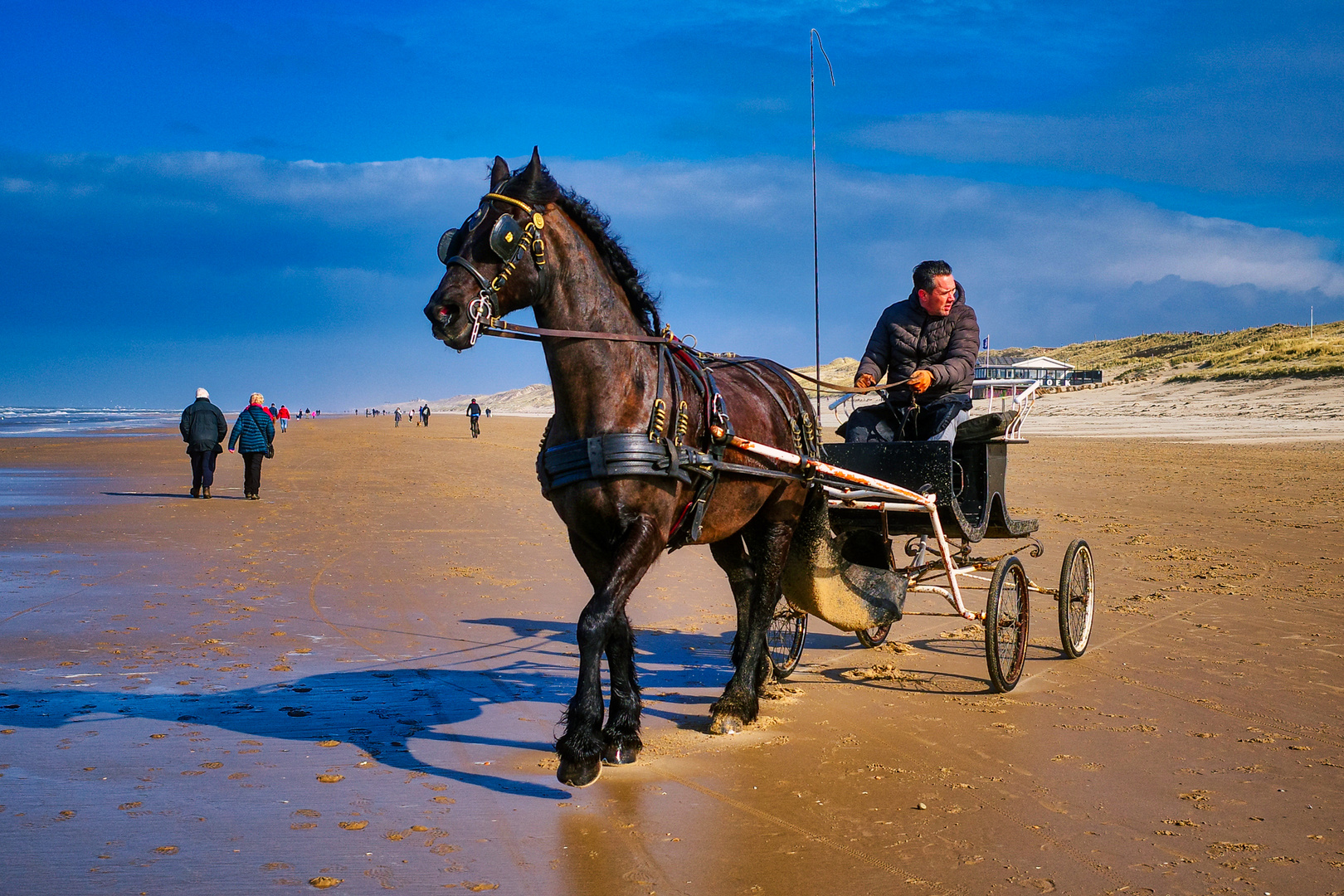 On the beach