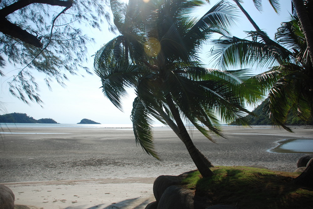 on the beach