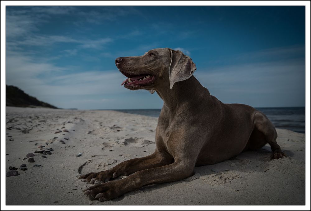 On the Beach