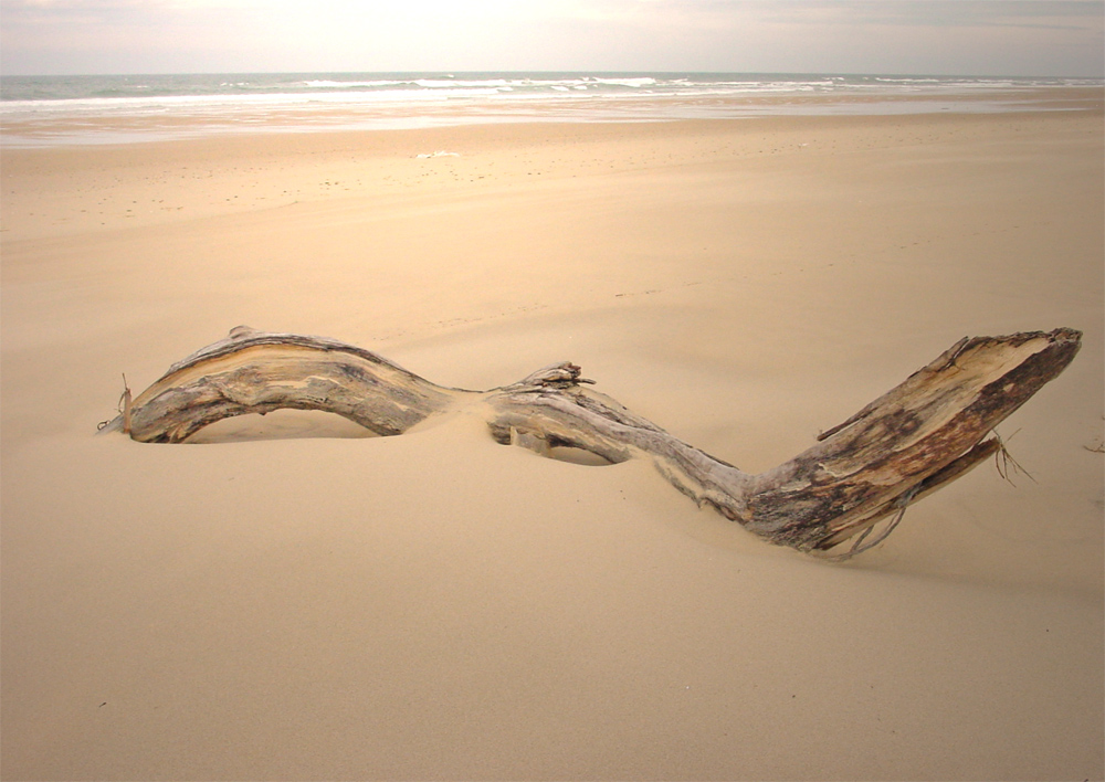 On the Beach