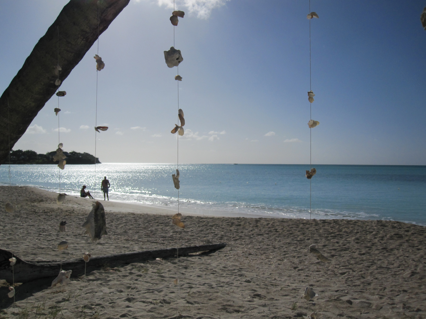 On the beach in St. John´s