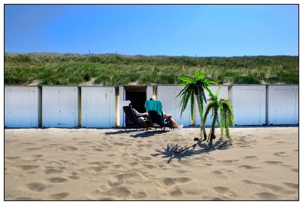 On the Beach (North Holland) #5
