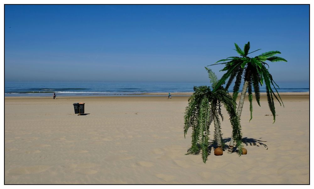 On the Beach (North Holland) #6