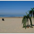 On the Beach (North Holland) #6