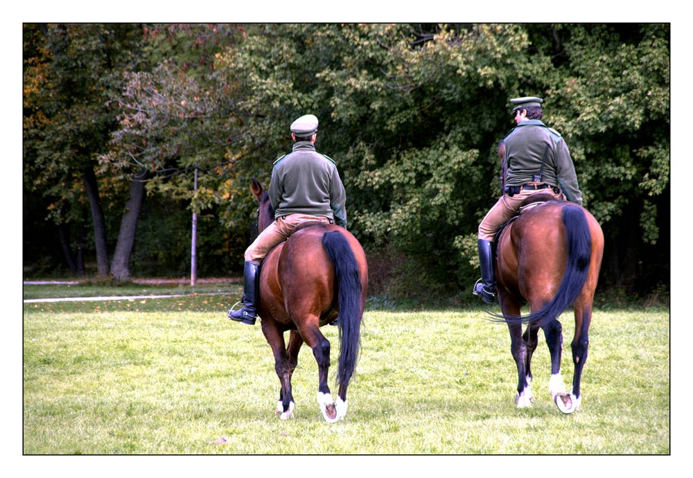 On the Beat - Streifen-Taktgenau