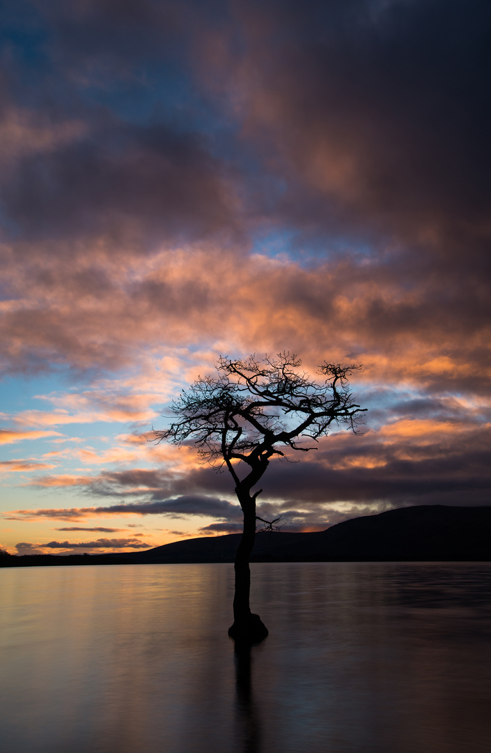 On the bonny, bonny banks of Loch Lomond...