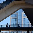 on the bridge