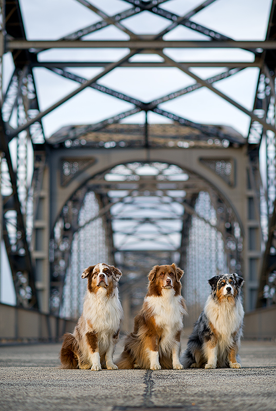 on the Bridge