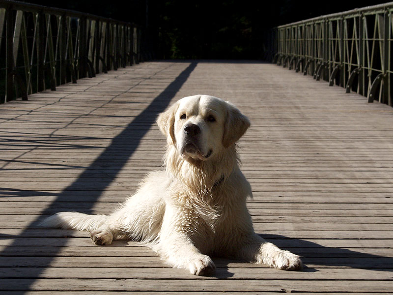 on the bridge_02