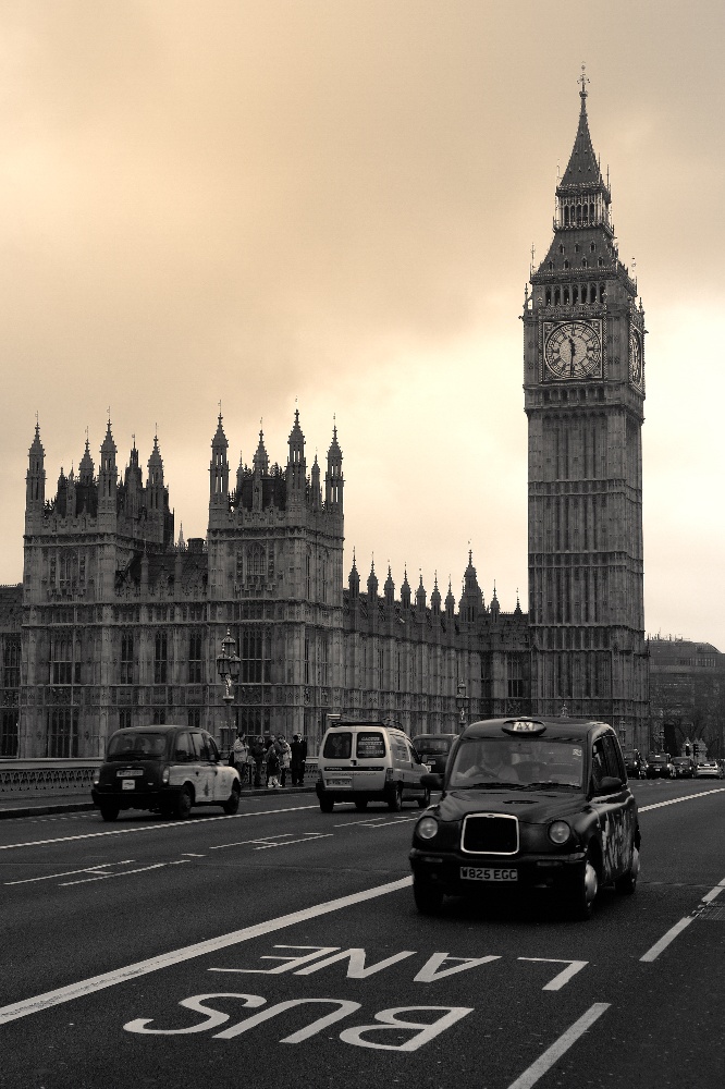 On the Bus Lane