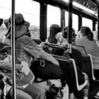 On the Busses (3)