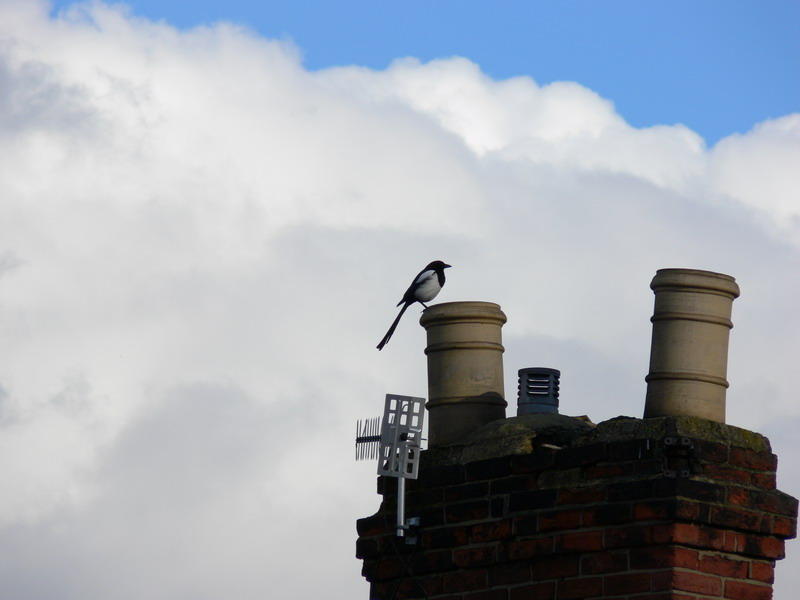 On The Chimney