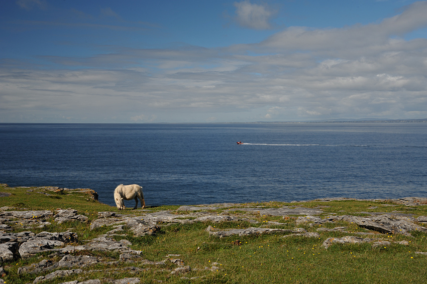 On the Cliff