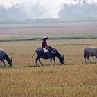 On the Countryside