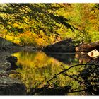 on the cumberland trail