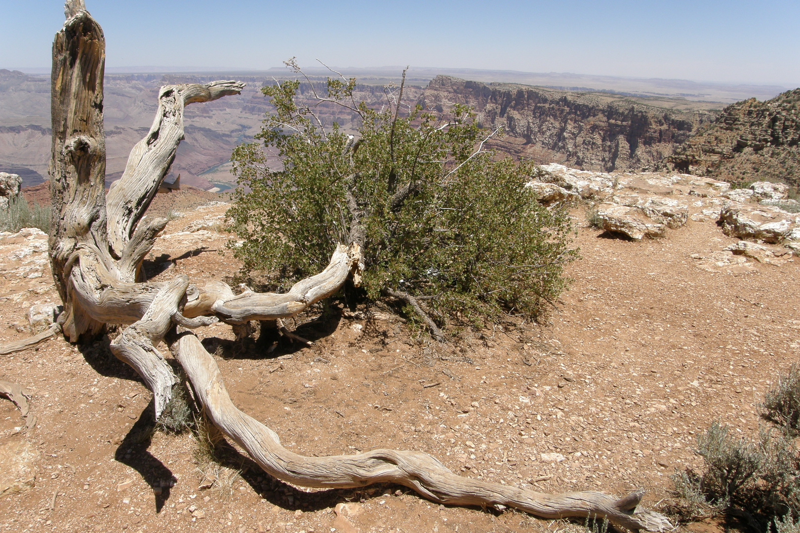 on the Desert View Drive