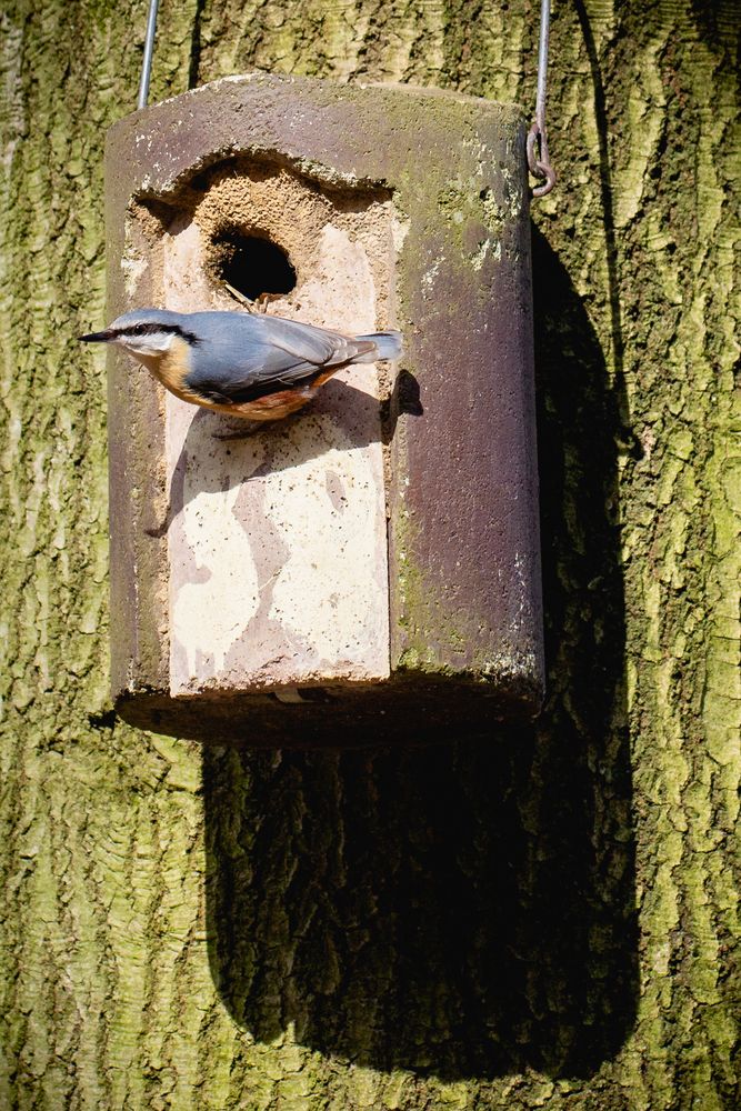 On the doorstep - 