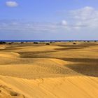 On the dunes...