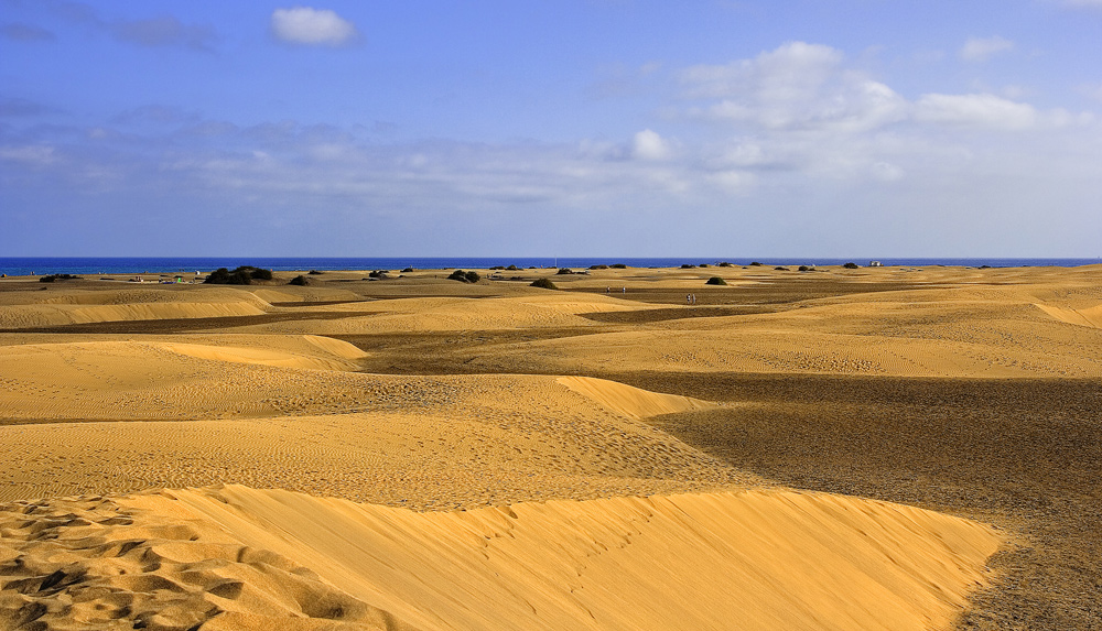 On the dunes...