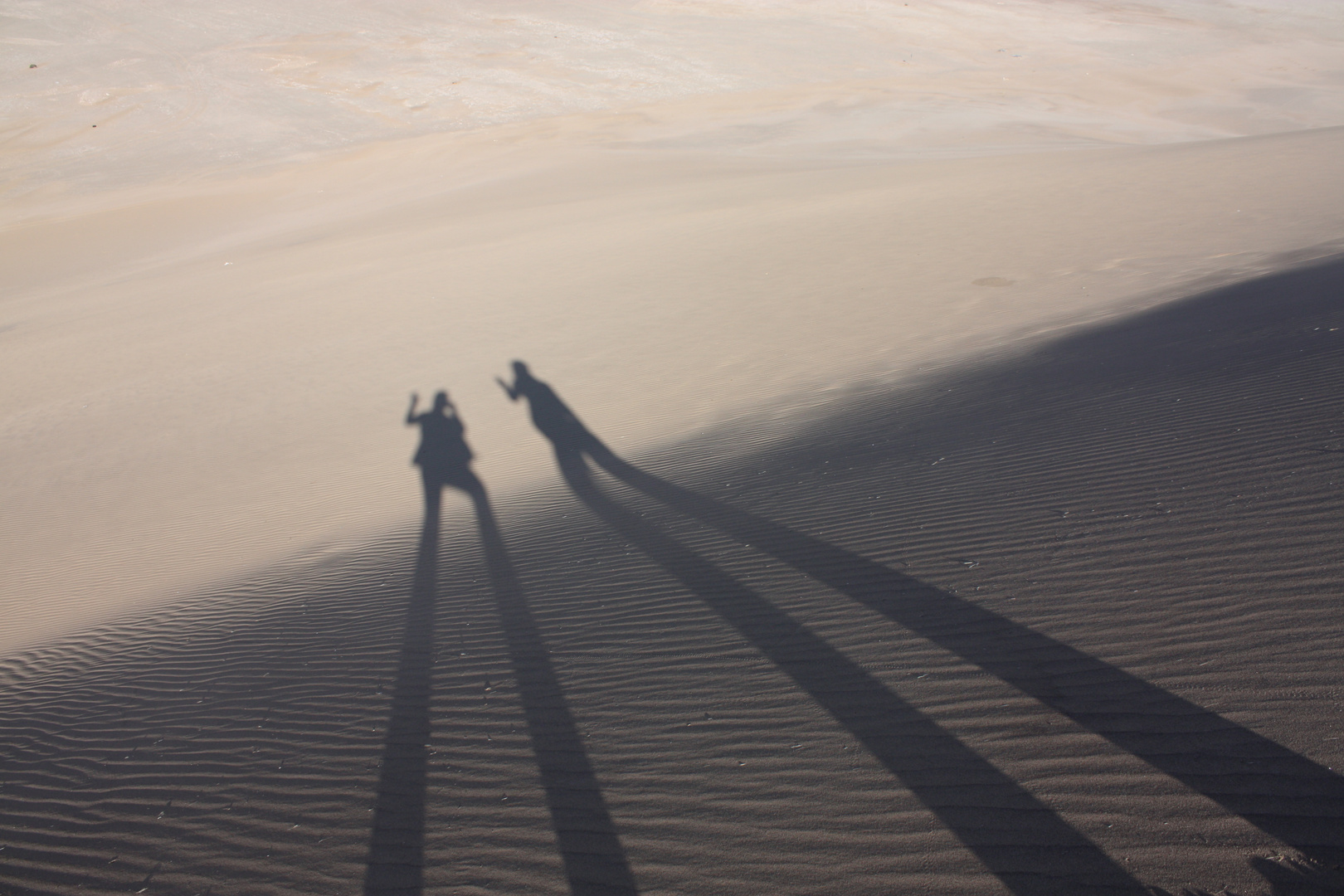 on the Dunes