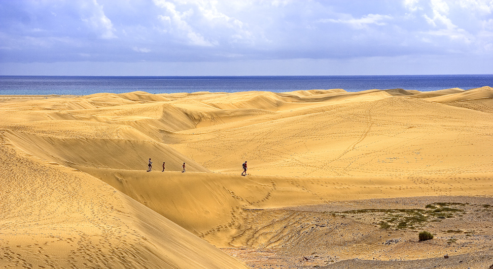 On the dunes *reload*