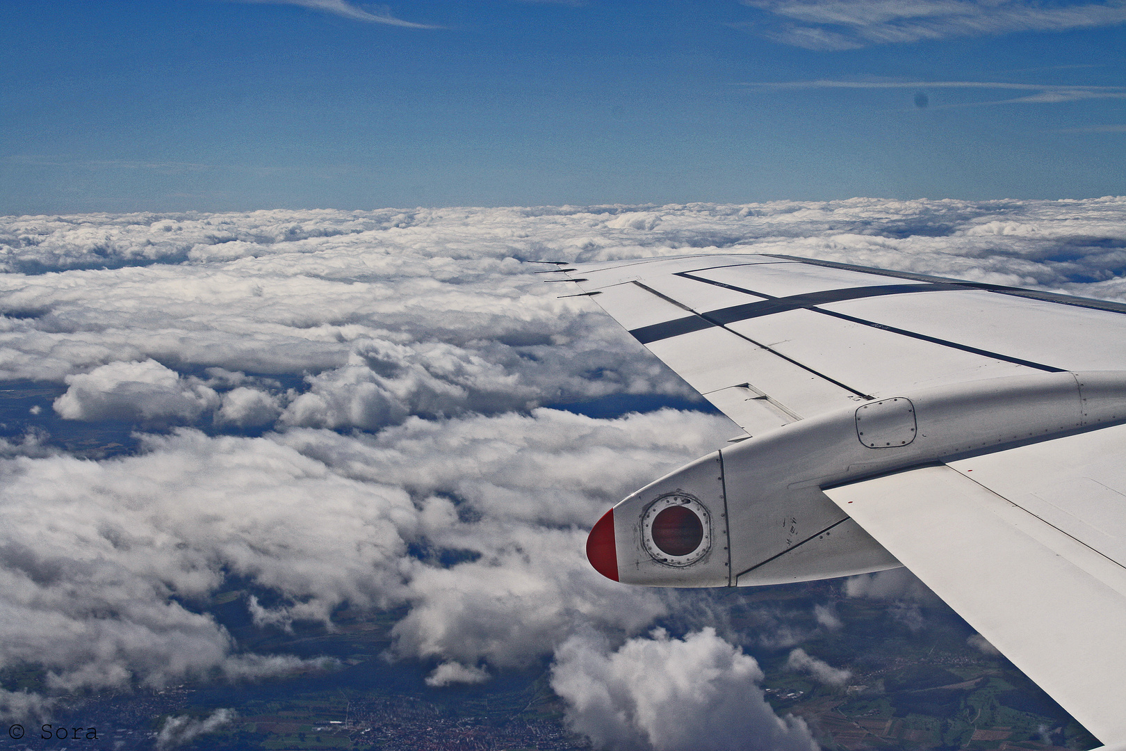 on the flight to brighton