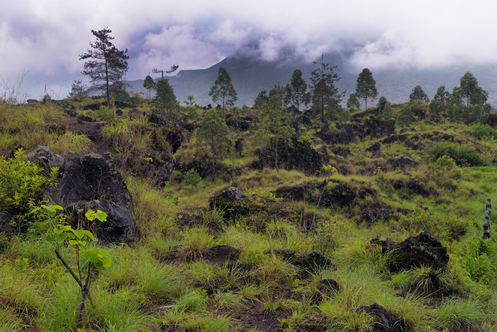 On the foothill of Gunung Batur