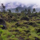 On the foothill of Gunung Batur