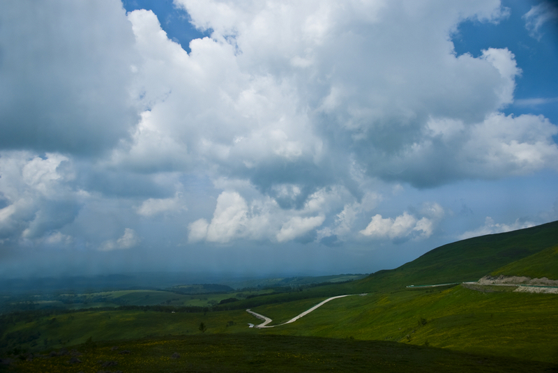 On the hillside