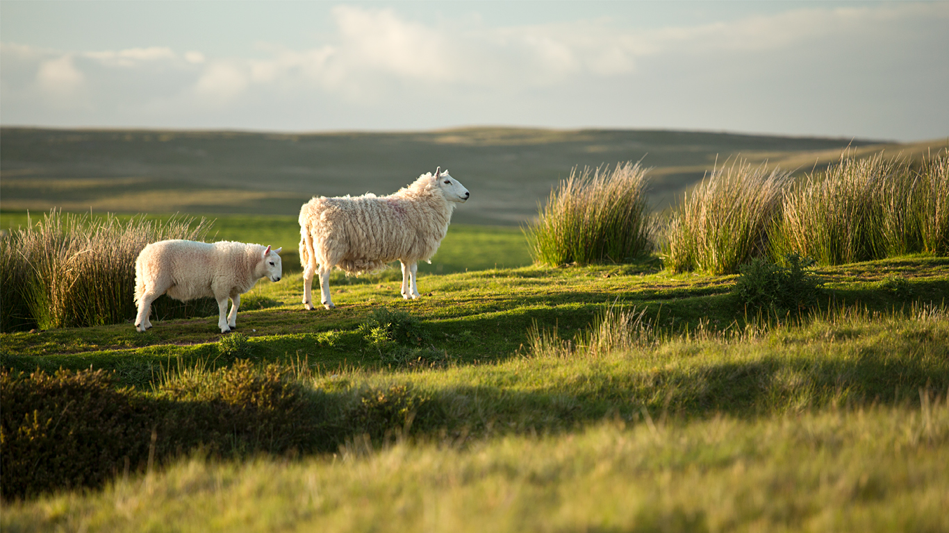 on the hilltop, Brecon Beacons