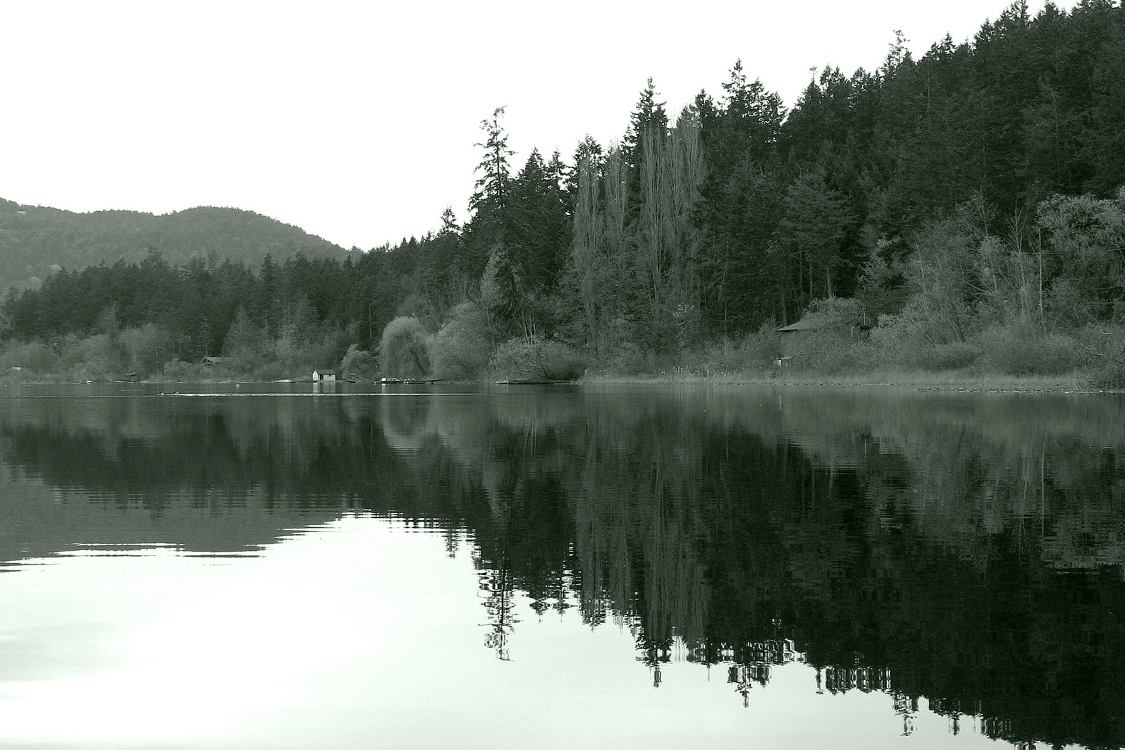 On the Lake