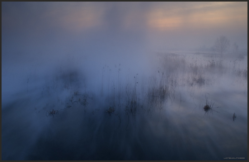 on the Lake