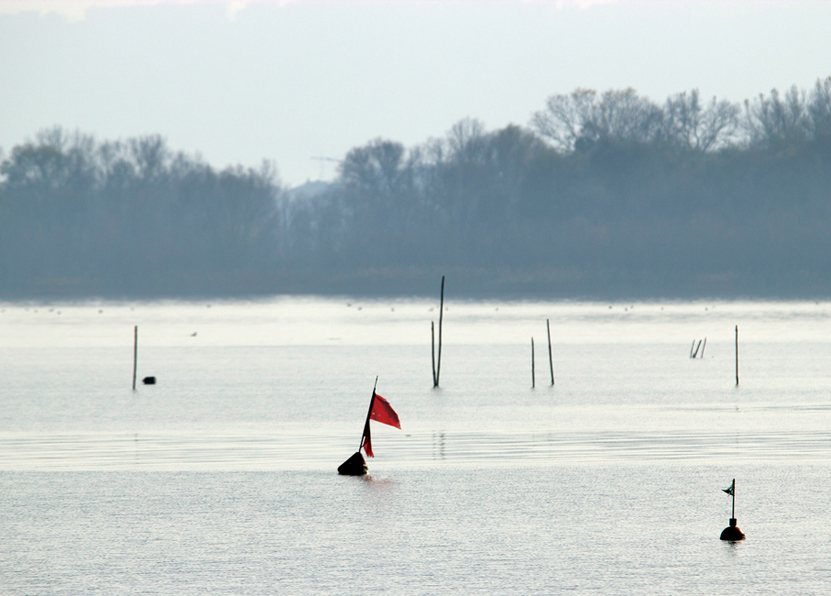 On the lake, early morning 2