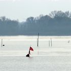 On the lake, early morning 2