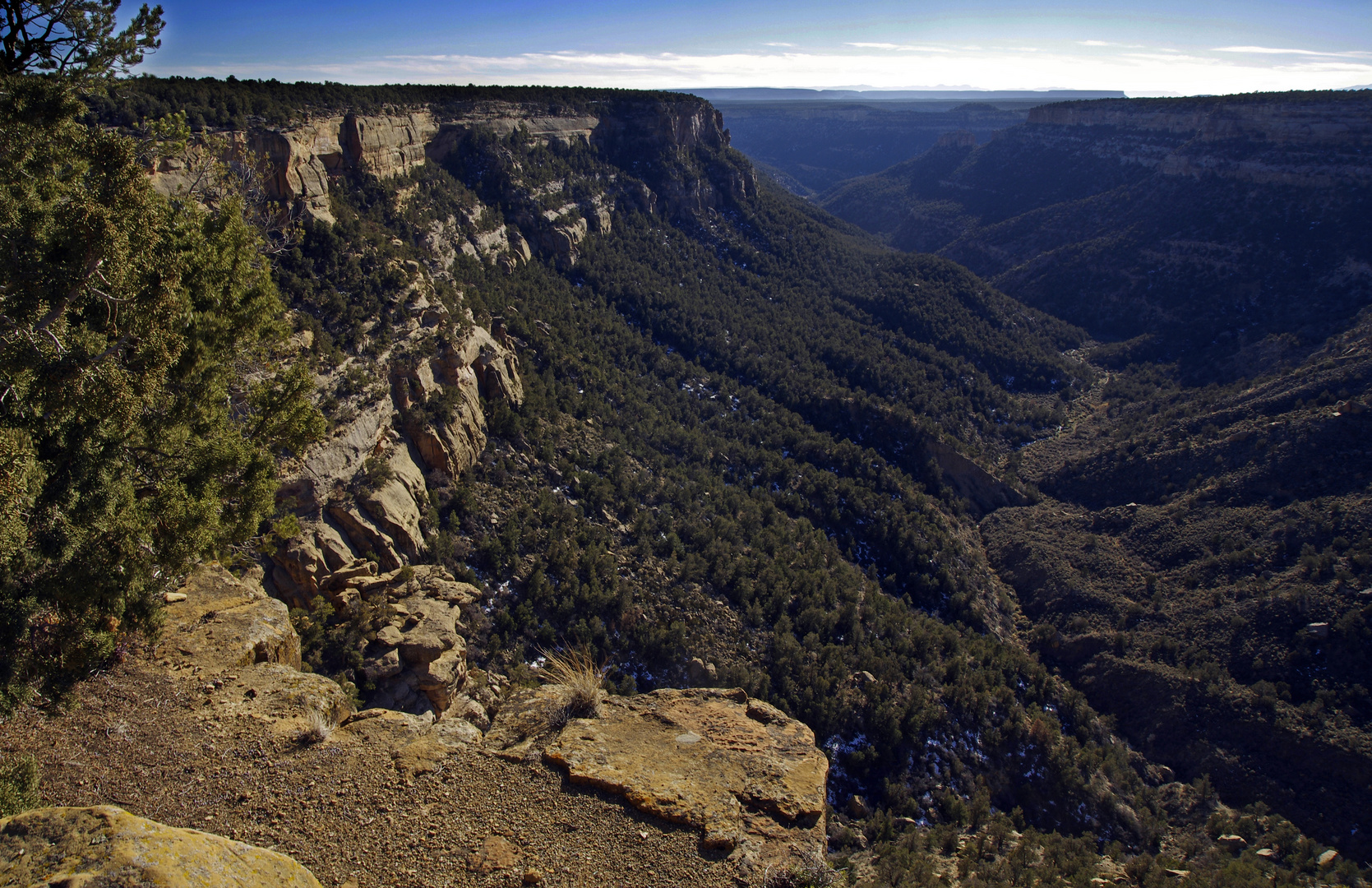 On the Mesa, Mesa Verde National Park - Colorado