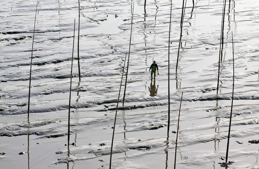 On The Mudflats