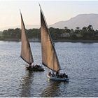 On the Nile