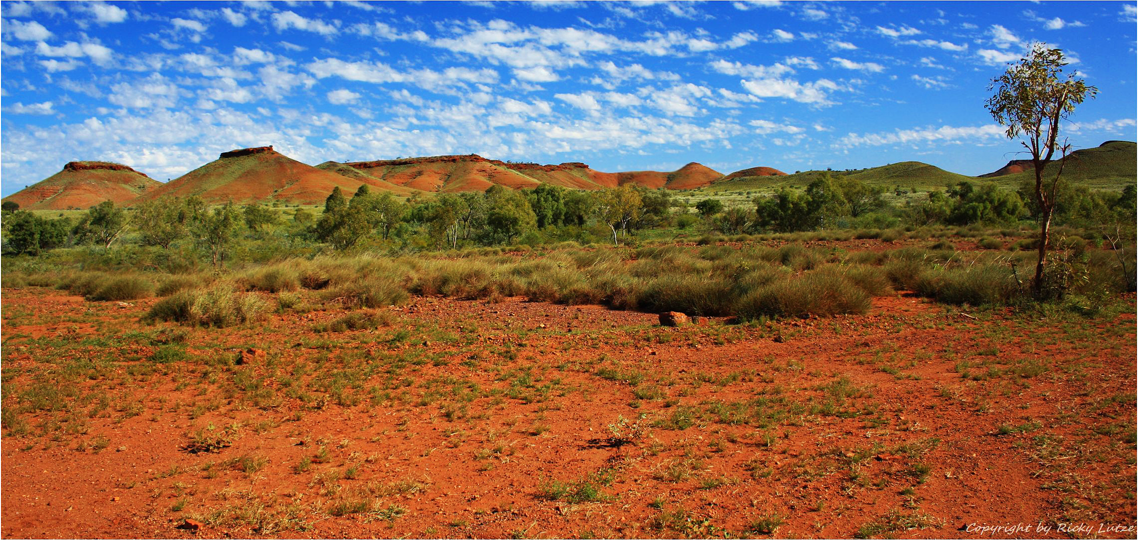 * on the Nullagine Road *