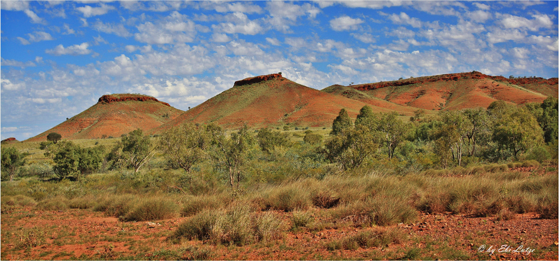 ** On the Nullagine Road / South of Marble Bar ** Foto & Bild
