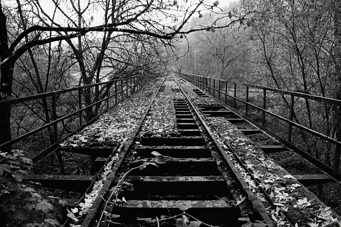 On the old Railway Bridge