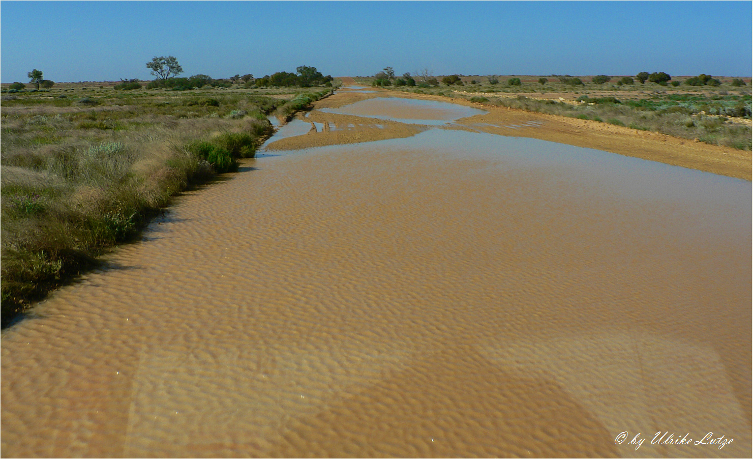 ** On the Oodnatatta Track after Rain **