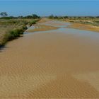 ** On the Oodnatatta Track after Rain **