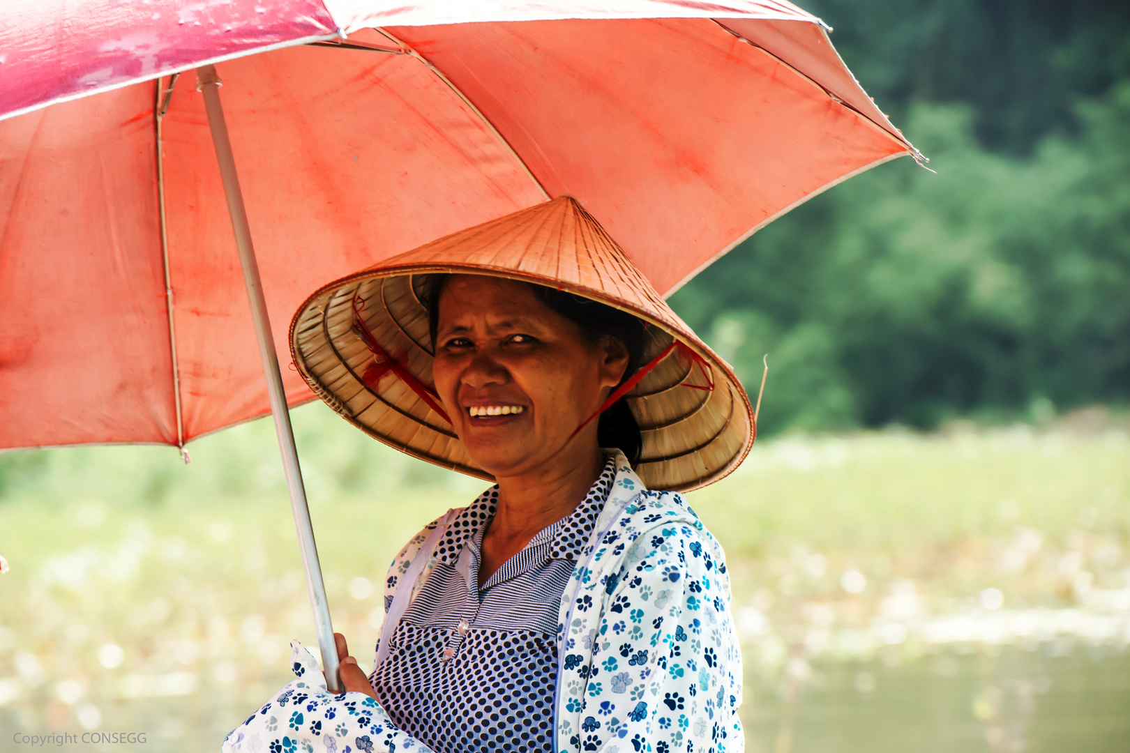 On the paddy field