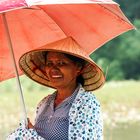 On the paddy field