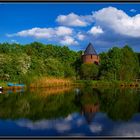 On the Pond